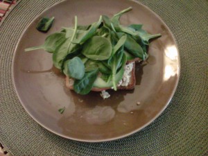 Salmon Sandwich