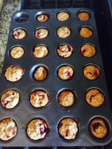 Muffins2
