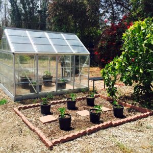 garden4