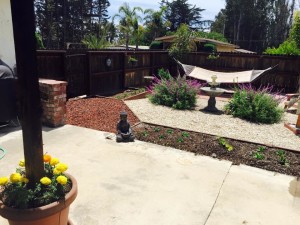 garden5